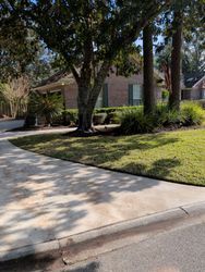A house with a brick facade behind trees and a sidewalk, with green grass.