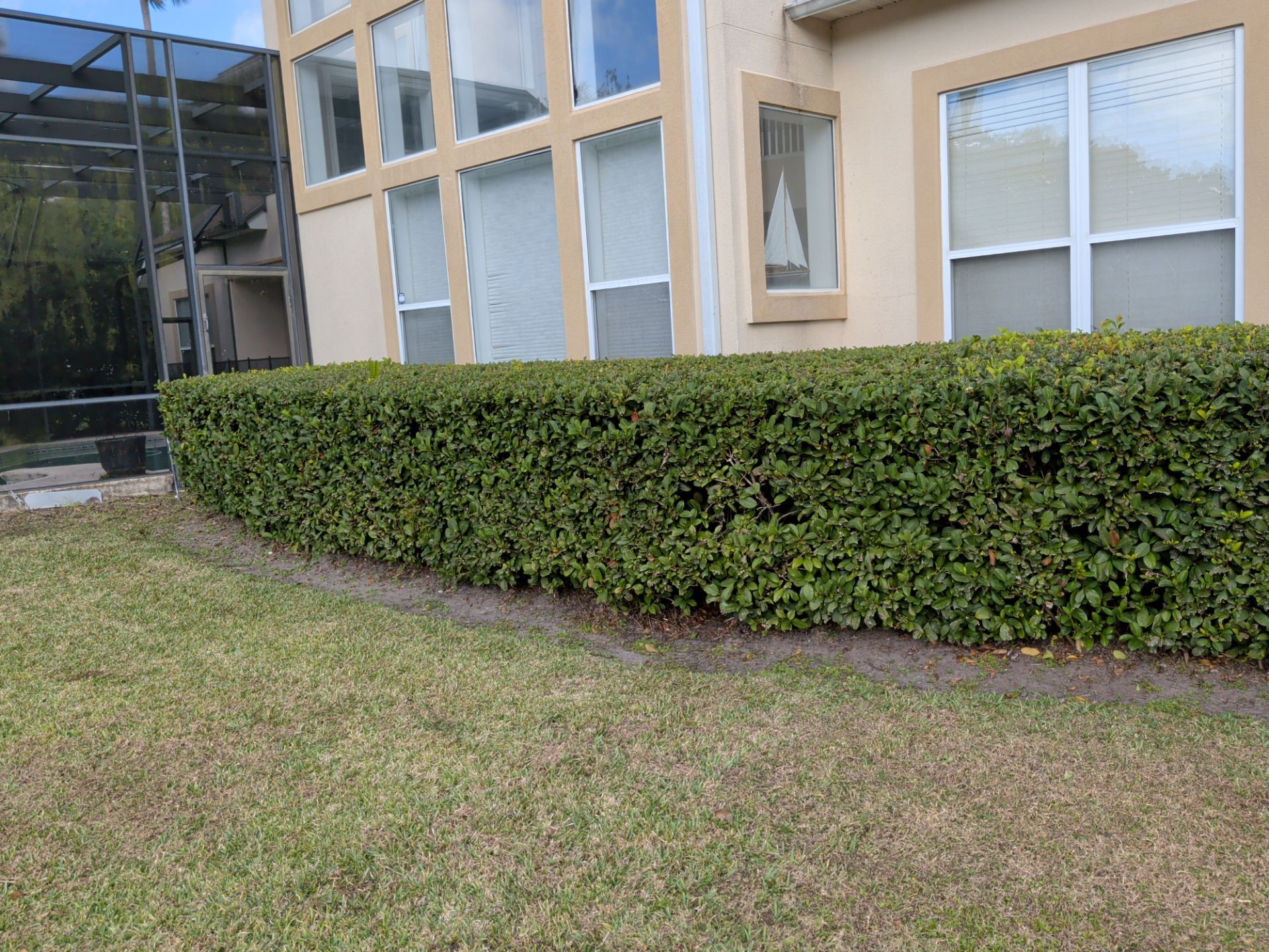 Trimmed hedge along a grassy lawn beside a beige building with large windows