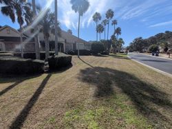 Lawn with palm trees, shrubs, and a building on a sunny day. A road is on the right.