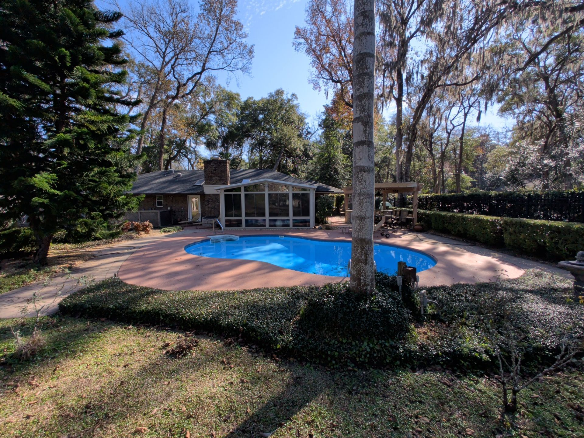 Backyard scene with a pool, house, and surrounding trees under a blue sky.