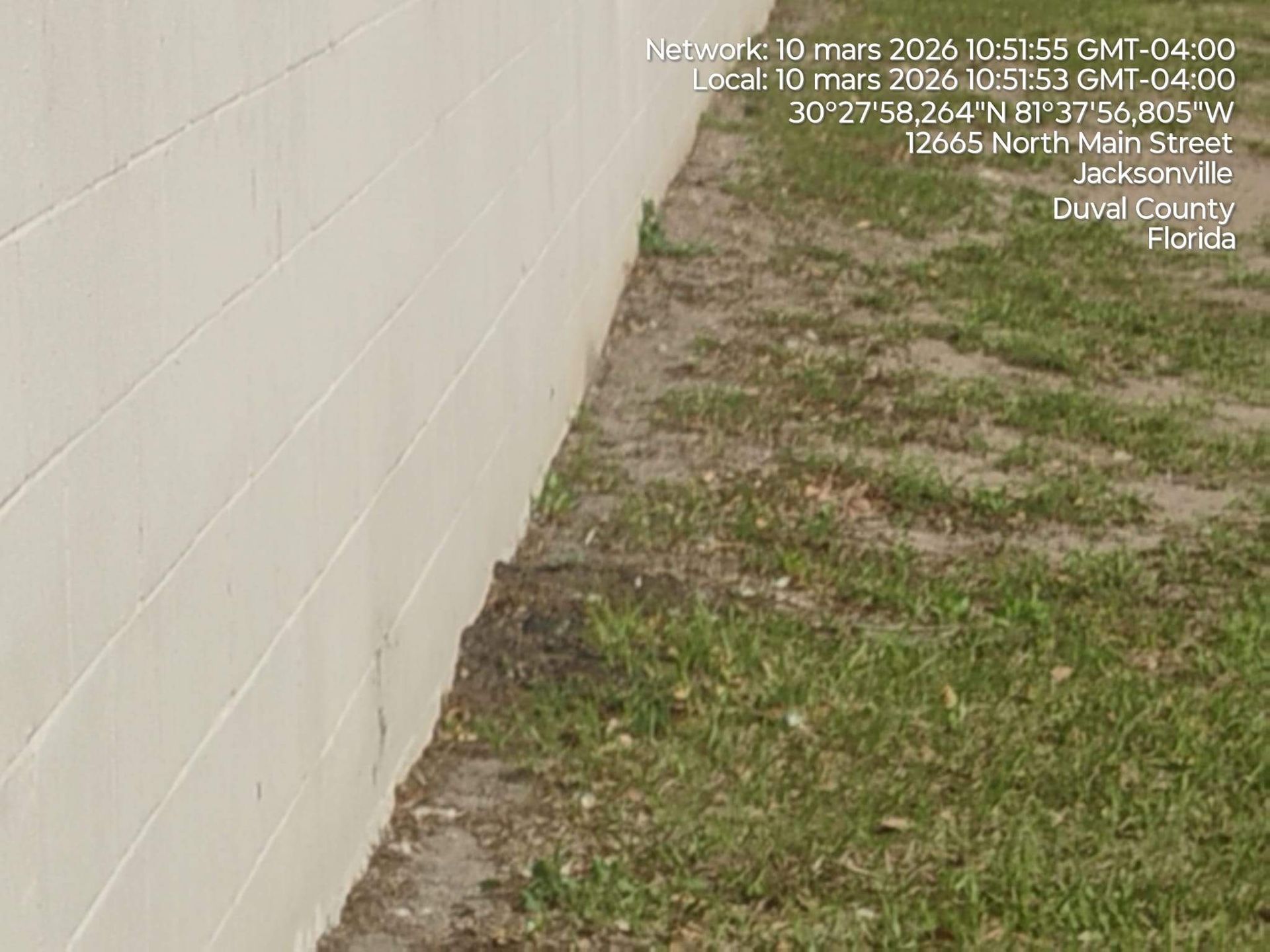 Narrow grassy strip beside a beige block wall along a path on a sunny day