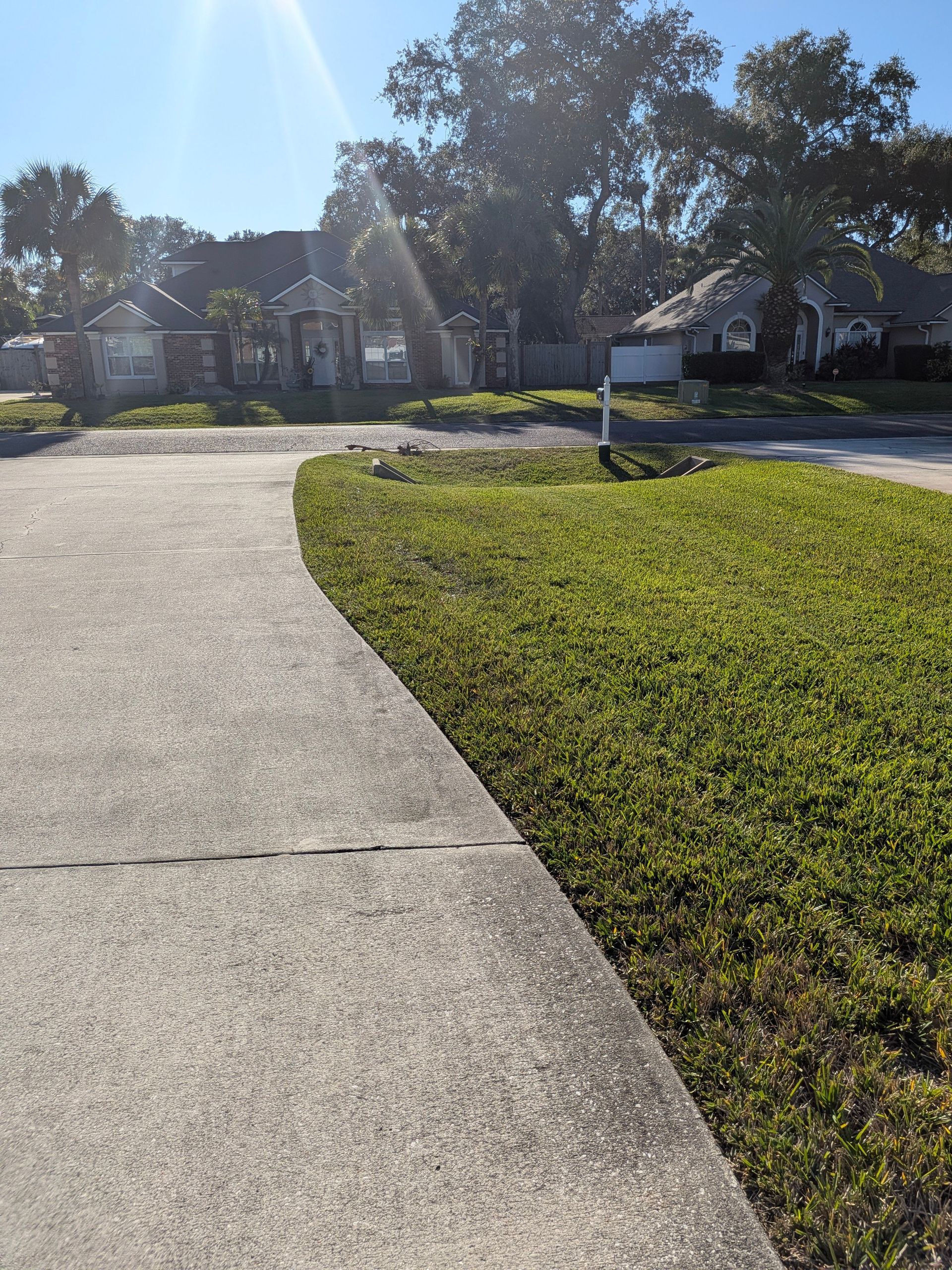 Sunny suburban sidewalk curving past a grassy lawn and mailbox toward houses and trees