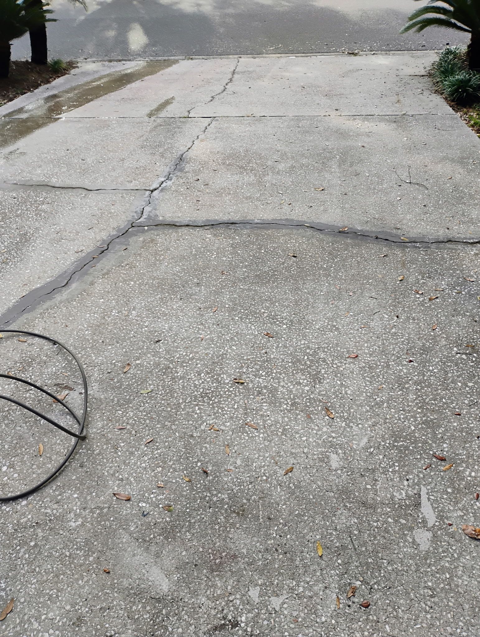 Concrete driveway with cracks, leading away from the viewer.