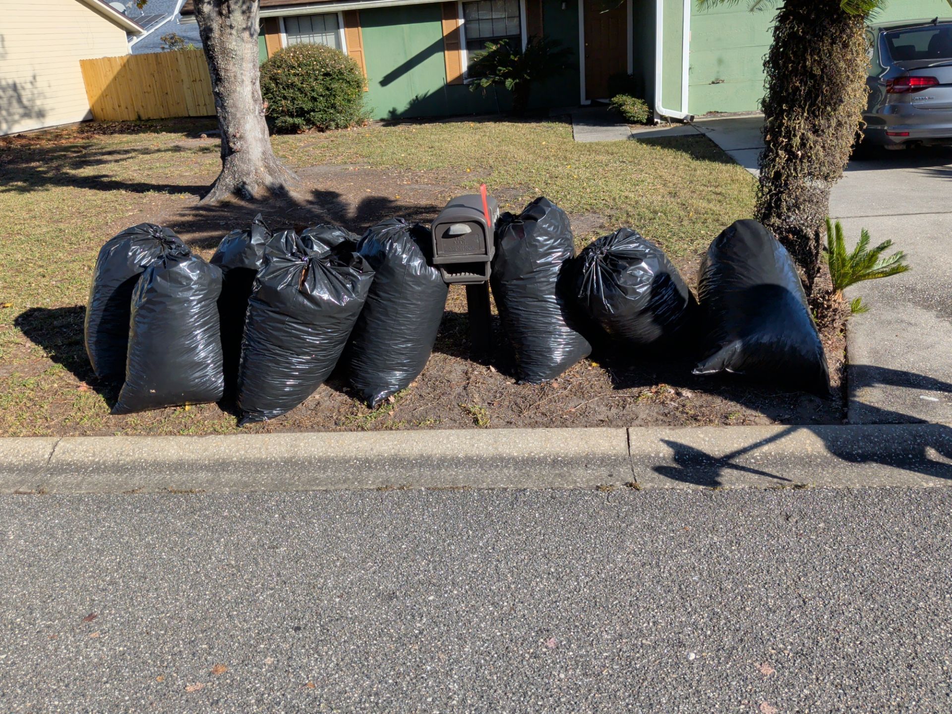 Seven black trash bags lined up on a curb, next to a mailbox, in front of a house.