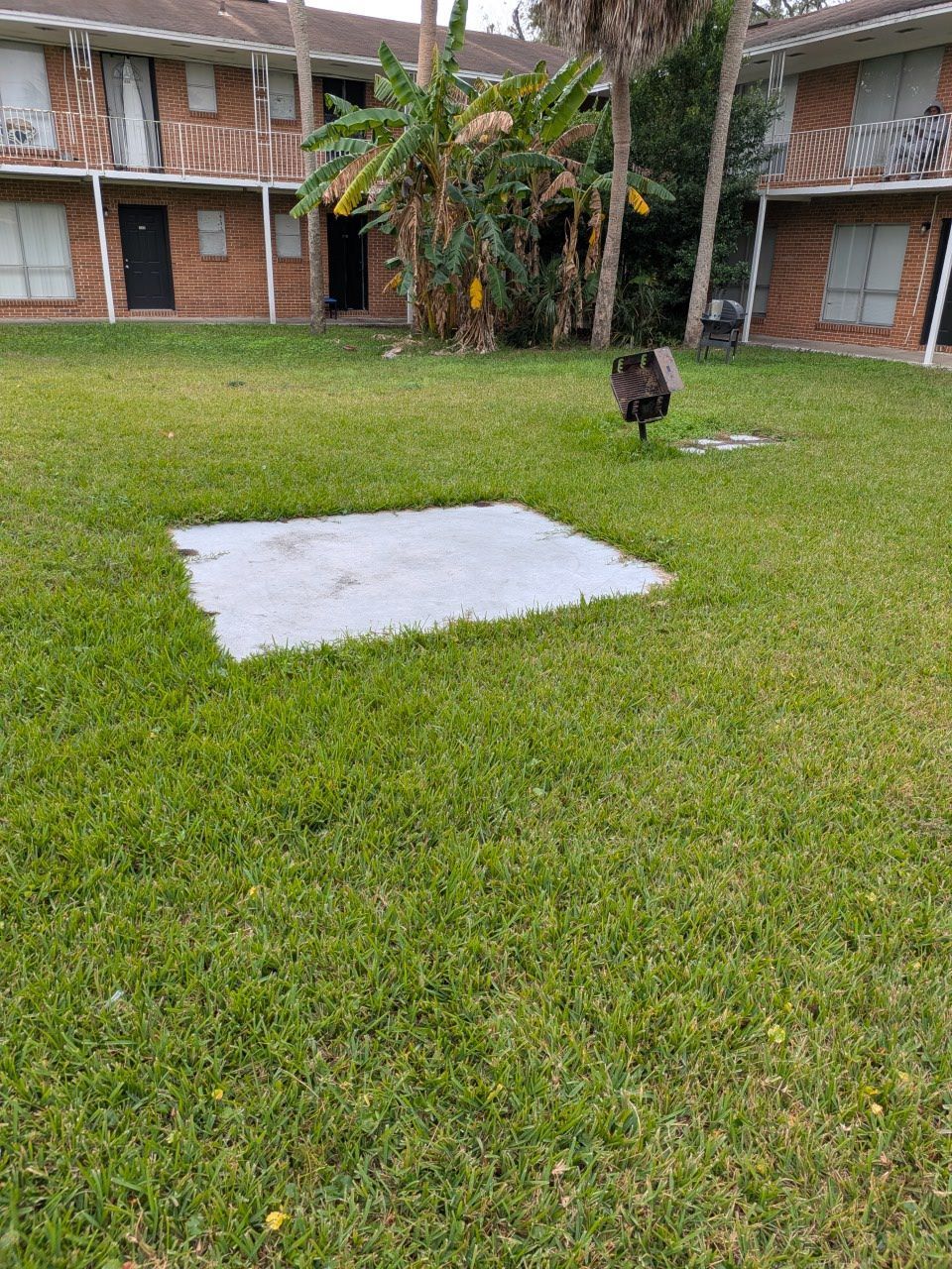 Grassy courtyard with a concrete slab and a black cat near an apartment building