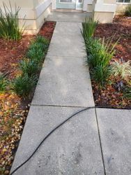Concrete walkway flanked by green plants and reddish mulch leading to a door.