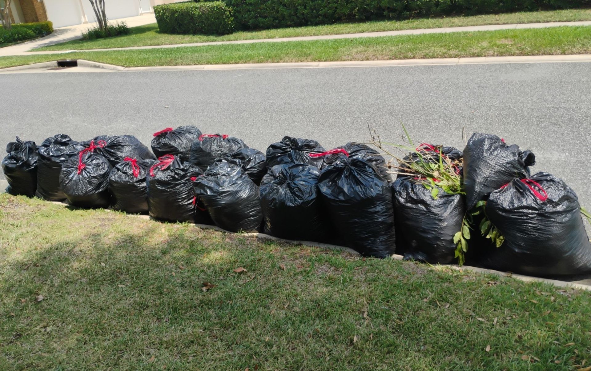Row of black trash bags lined along a grassy curb beside a residential street.