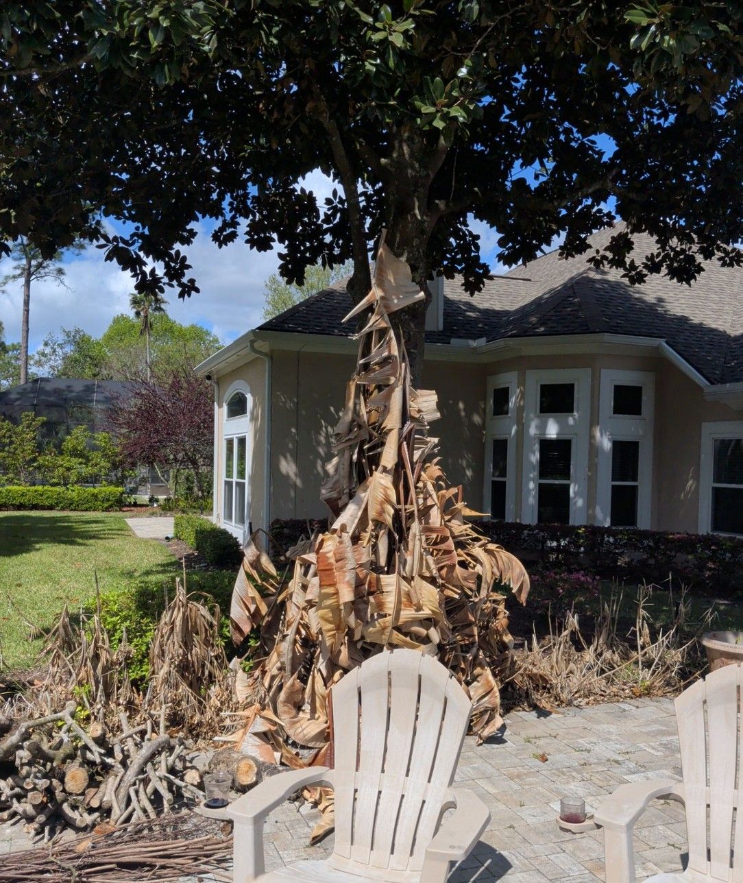 Dead palm tree trunk in a sunny garden beside white chairs and a house with a tiled roof.