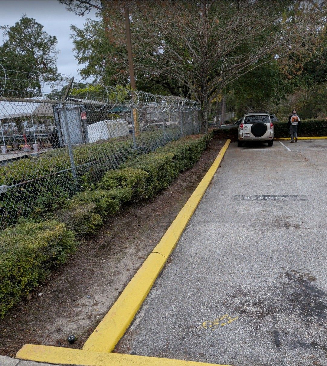 Parking lot with a yellow curb, hedge-lined fence, parked SUV, and a person standing near the right side.