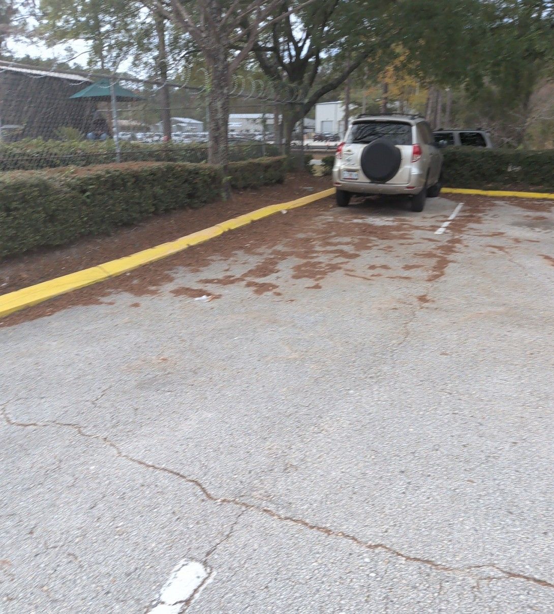 Parking lot with a white SUV near trees and a yellow curb on an overcast day