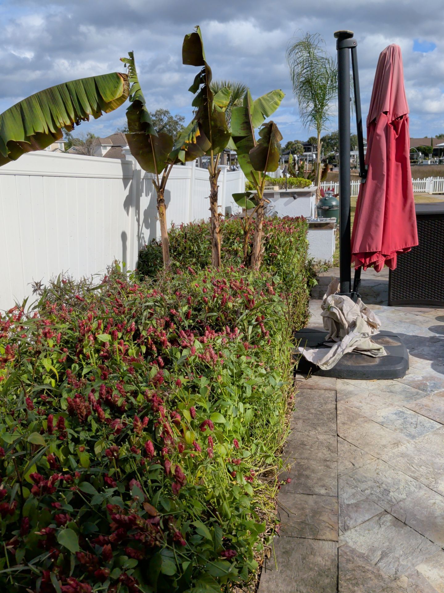 Sunny patio with red umbrella, white fence, banana plants, and flowering shrubs beside a stone walkway