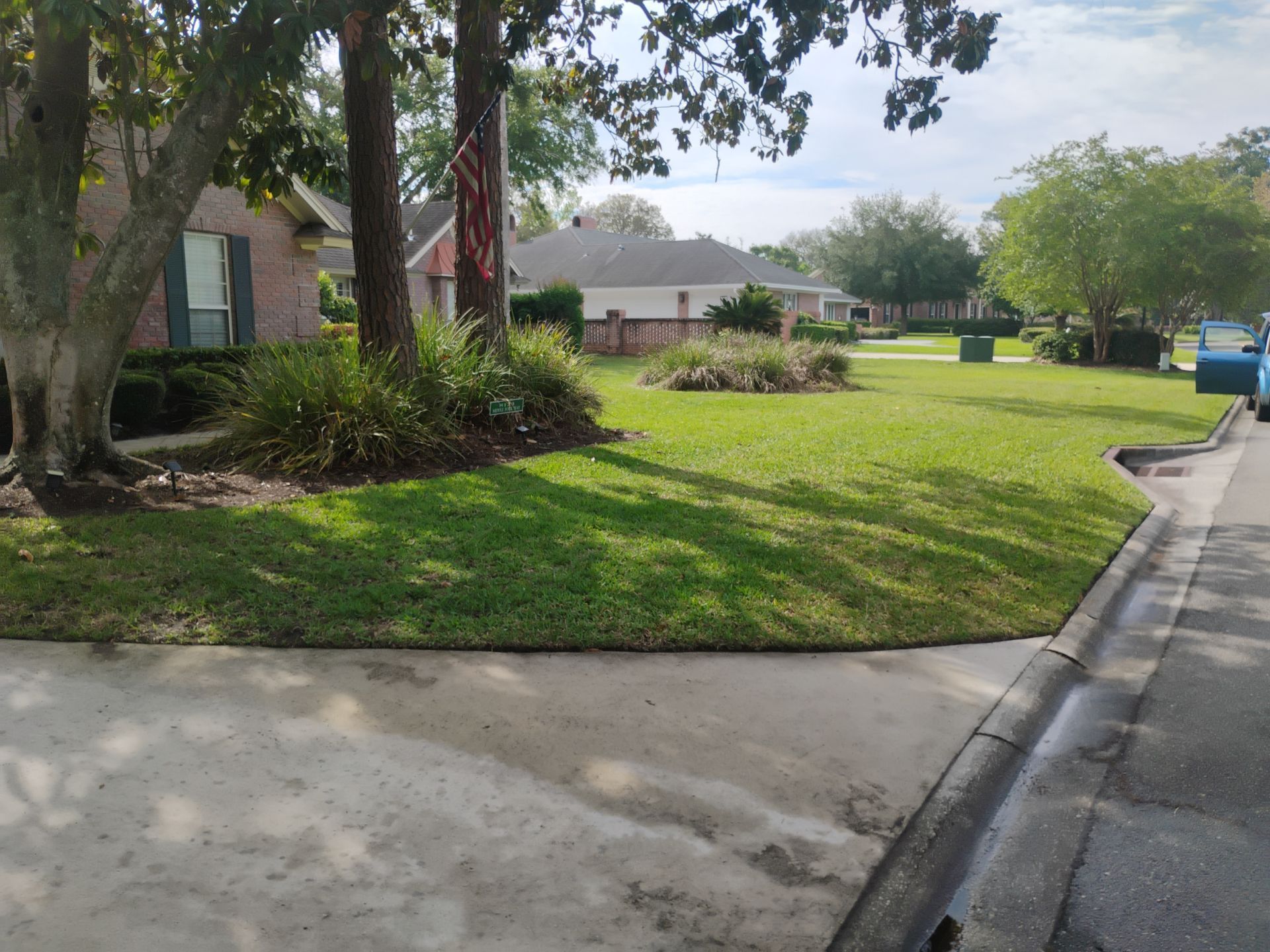 Suburban front yard with green lawn, trees, and sidewalk beside a street on a sunny day