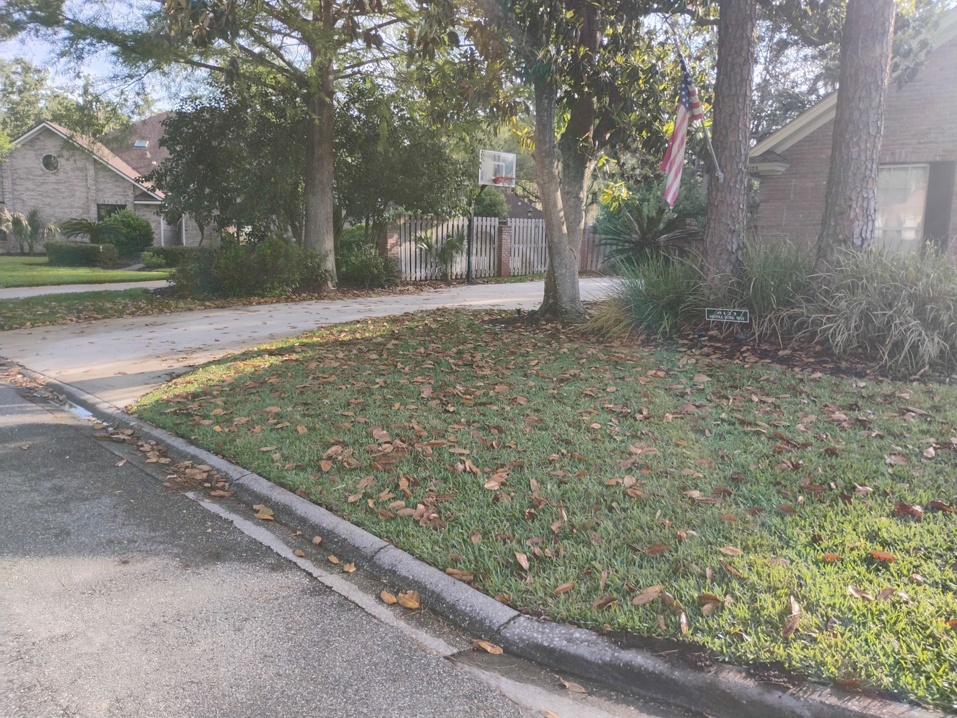 Tree-lined suburban street corner with grass verge, sidewalk, and houses in the background