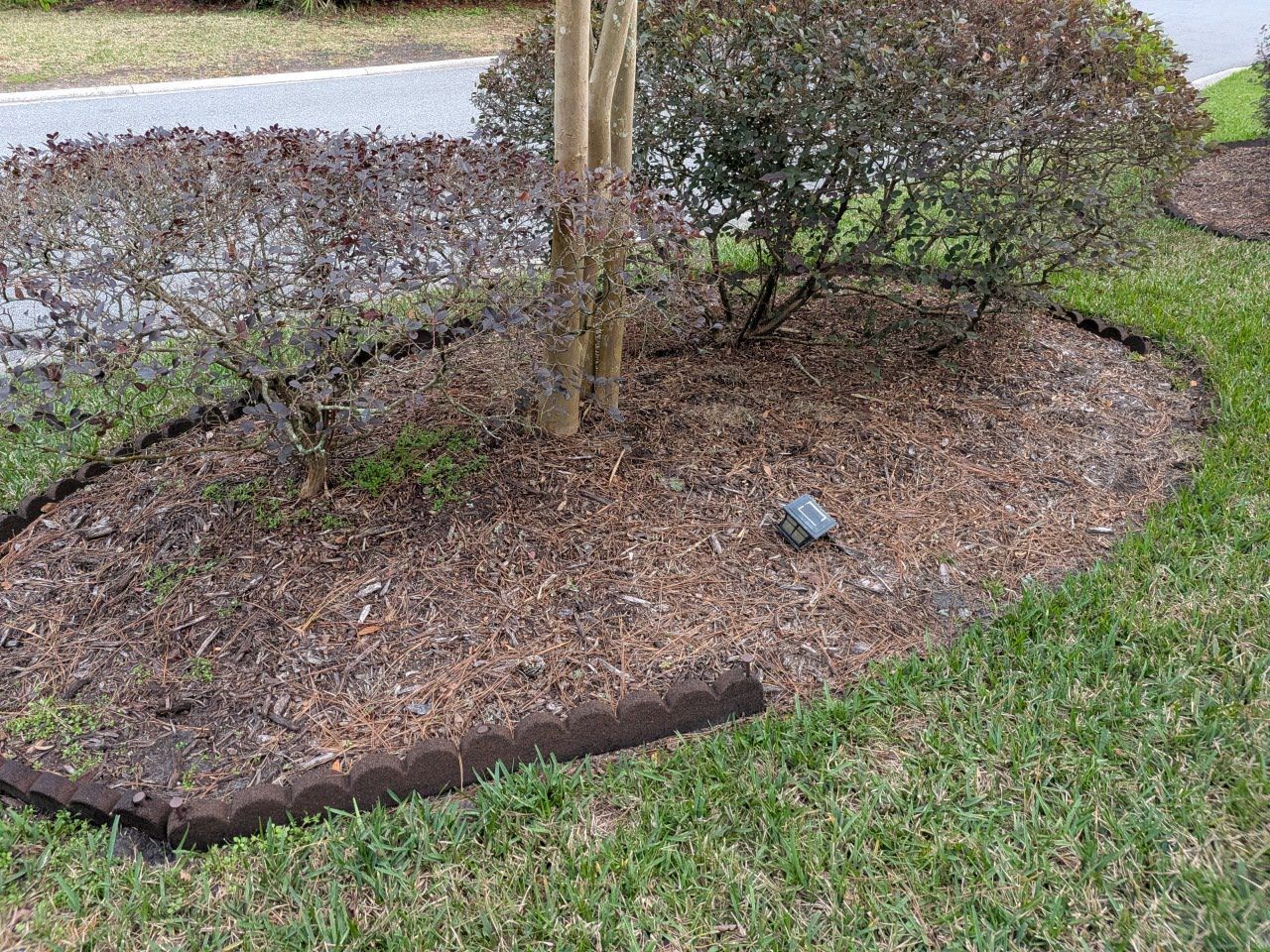 Brown mulch bed with plants and tree trunk, bordered by dark edging, surrounded by green grass.