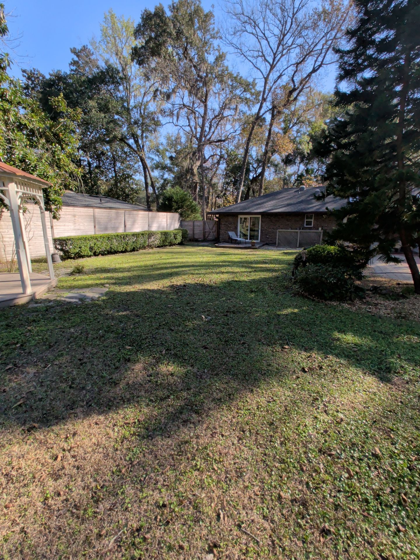 Grassy backyard with trees, shrubs, a house, and a small structure on a sunny day.