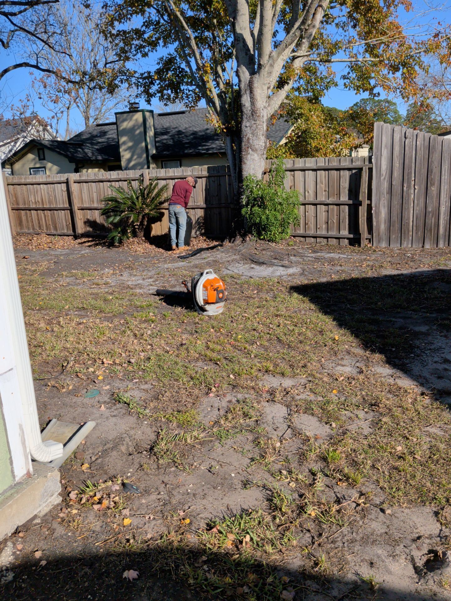 Person using a leaf blower in a backyard with a wooden fence and tree; fallen leaves on the ground.