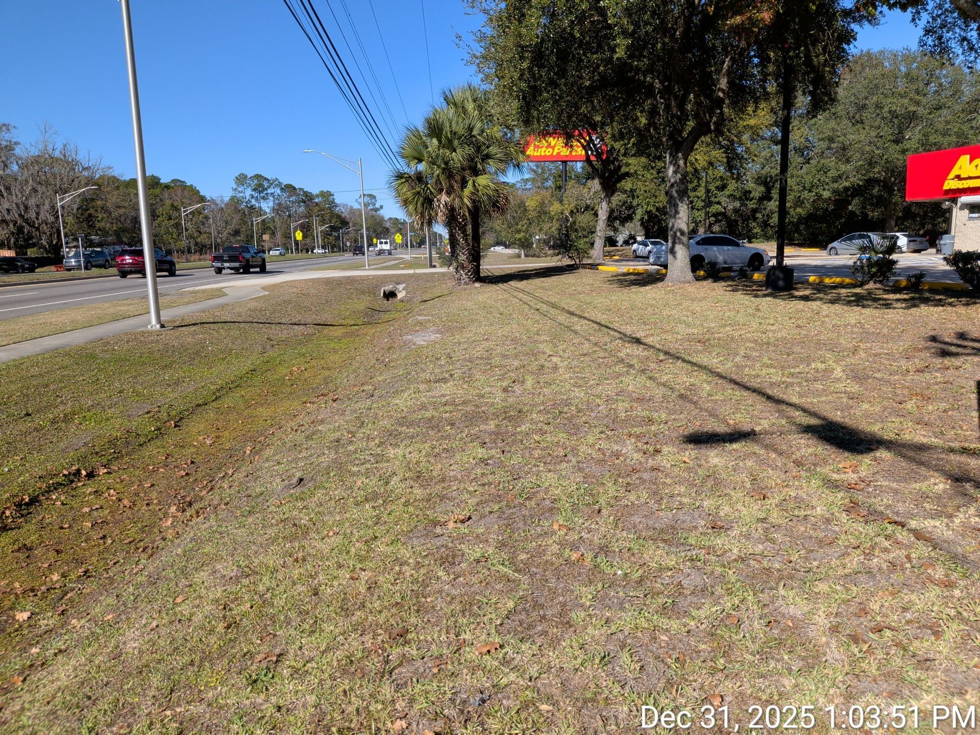 Grassy median next to a road, palm trees, and businesses under a blue sky.