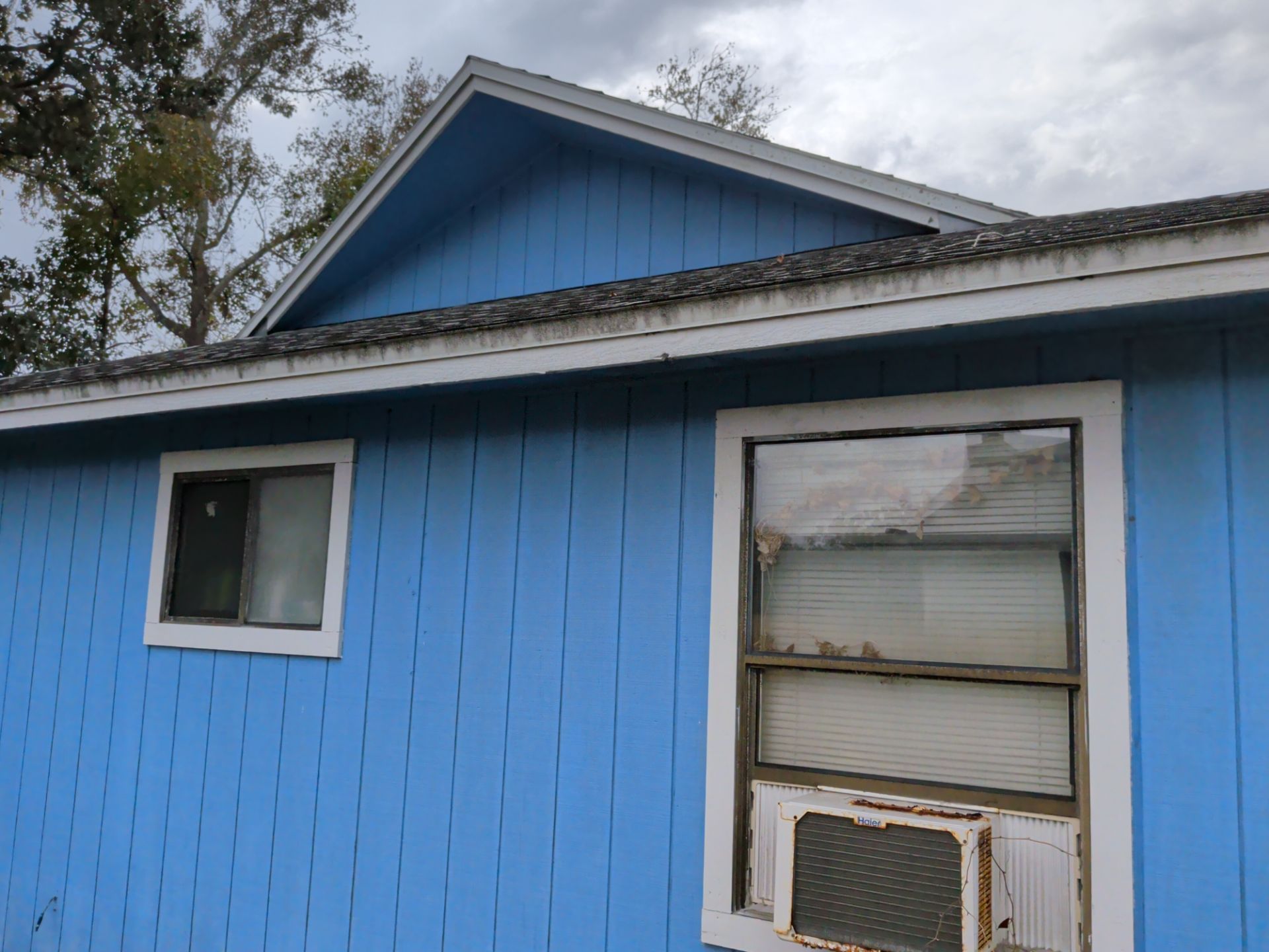 Blue building with white trim, window, and roof under an overcast sky.
