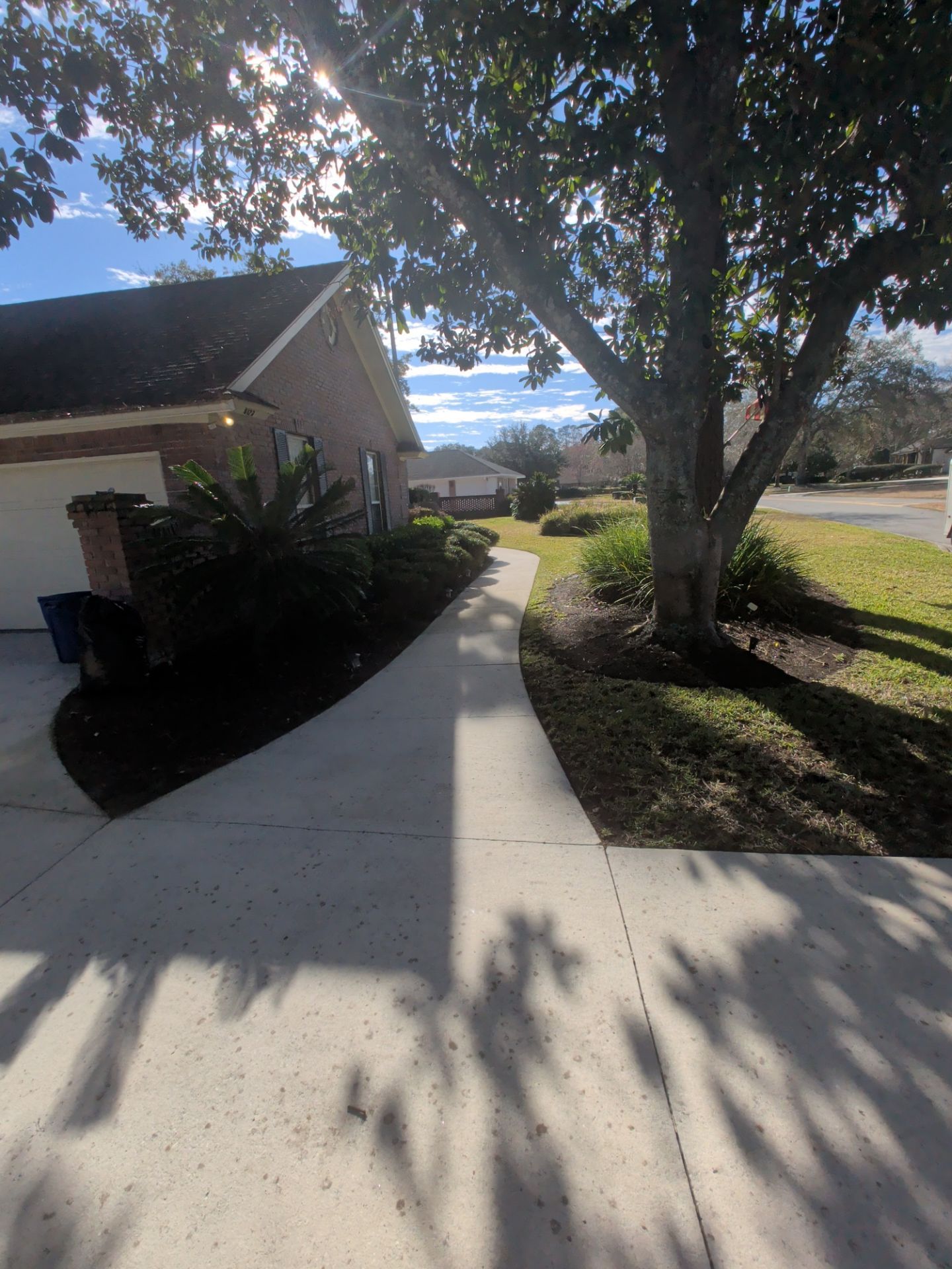 Sidewalk leading past house with tree, sunny day.
