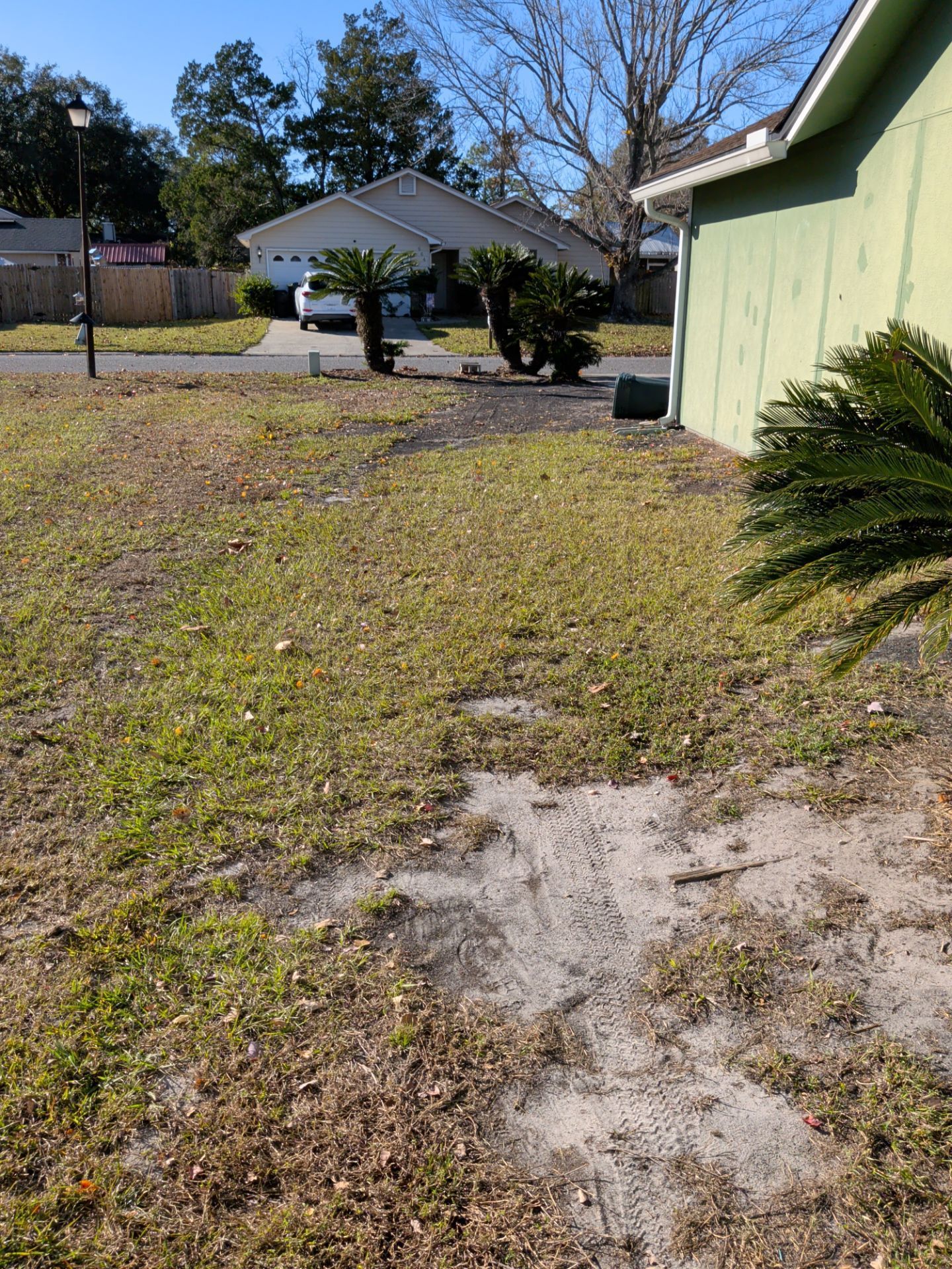 A patchy lawn in front of a house, with a driveway, palm trees, and a green wall on the right.