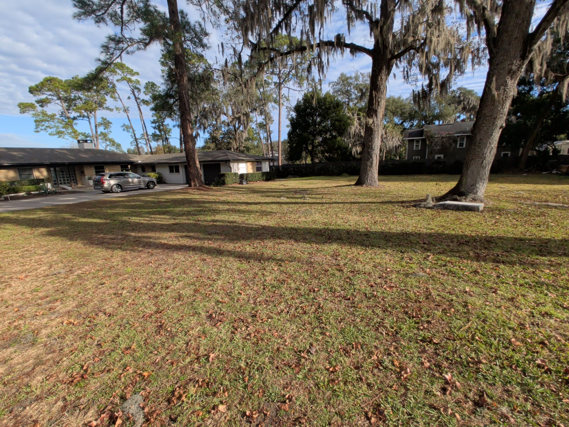 Lawn with trees and shadows, houses in background. Overcast sky.