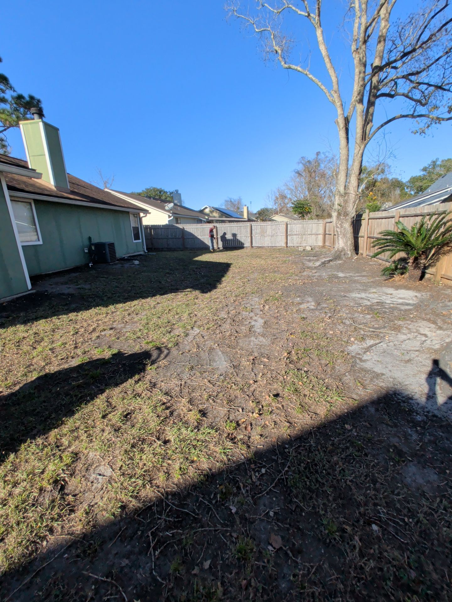 Backyard with bare patches of grass, a fence, and a tree under a blue sky.