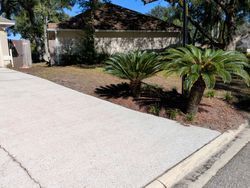 Driveway and two cycad plants in front of a tan building with a brown roof.