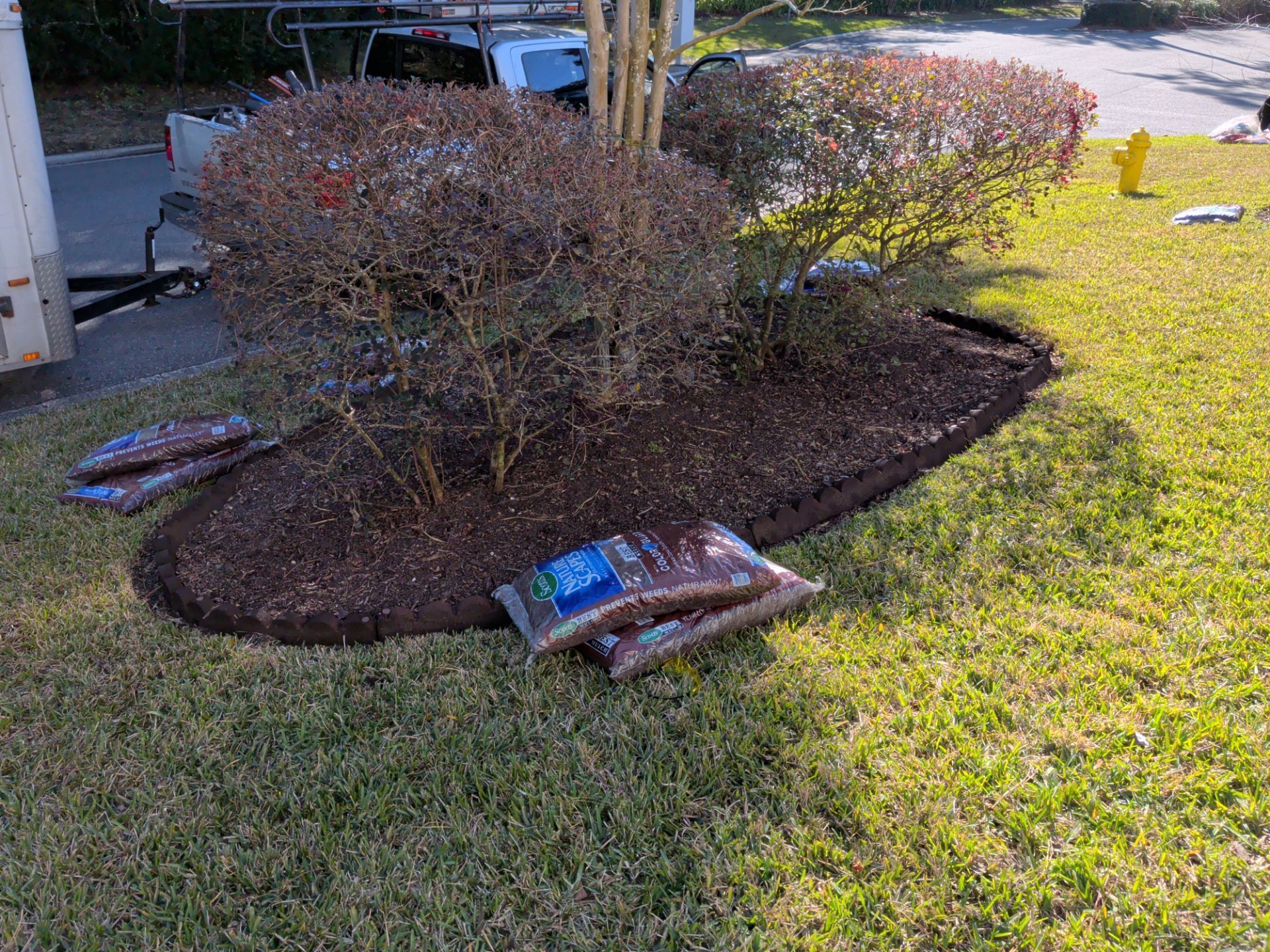 Mulch applied around a shrub in a yard with bags of mulch nearby.