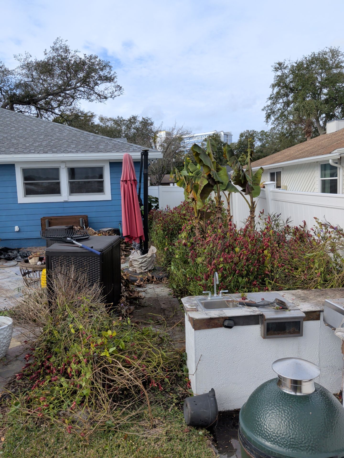 Backyard with blue house, built-in outdoor kitchen, Big Green Egg grill, red umbrella, and overgrown landscaping under a cloudy sky.