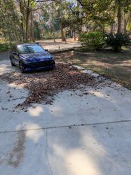 Blue car parked on a concrete driveway covered in fallen leaves, trees in the background.