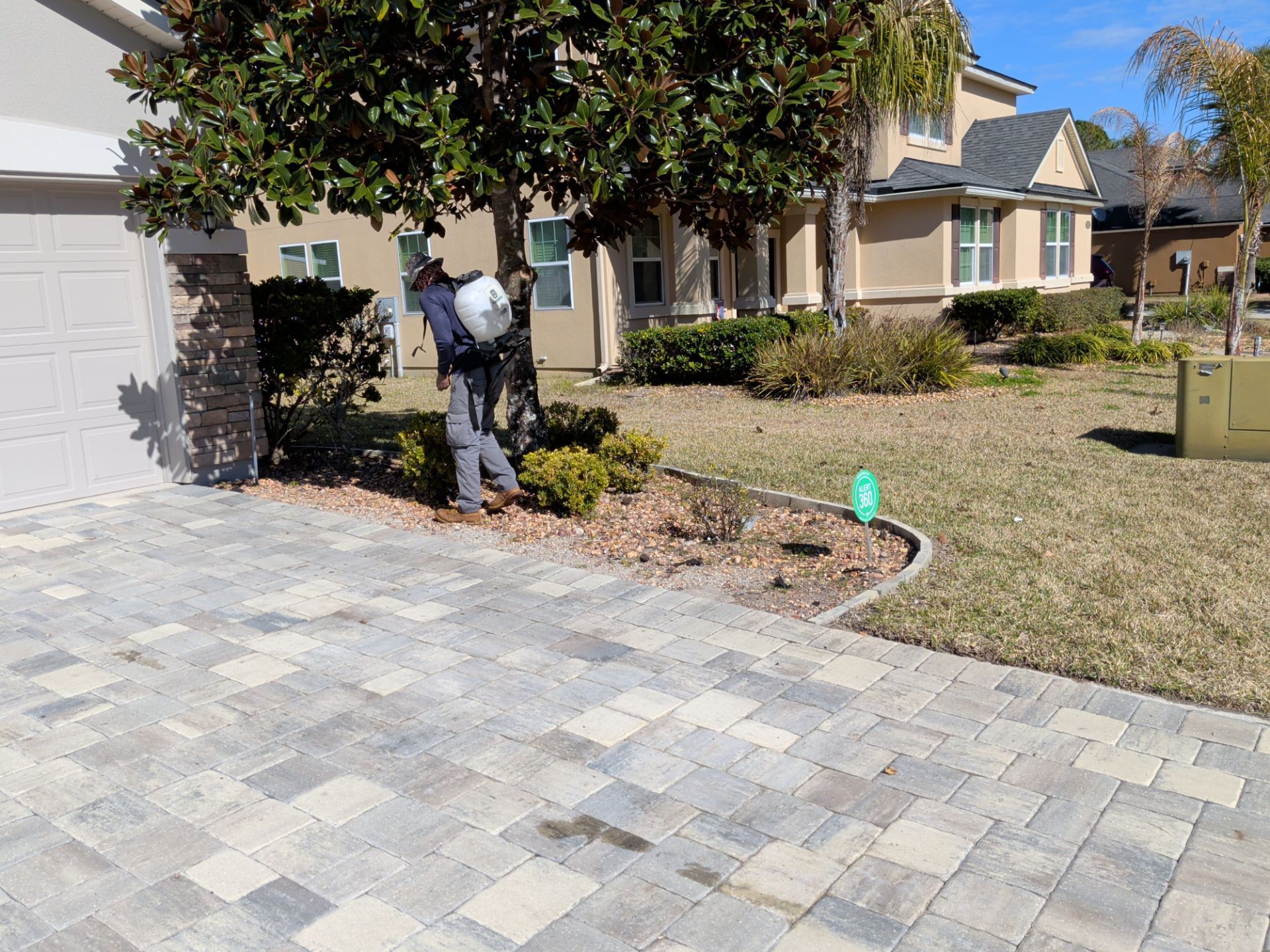Person spraying a tree with a white backpack sprayer in a residential yard.