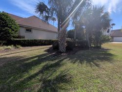 Lush green lawn with palm trees, shrubs, and a beige house on a sunny day.
