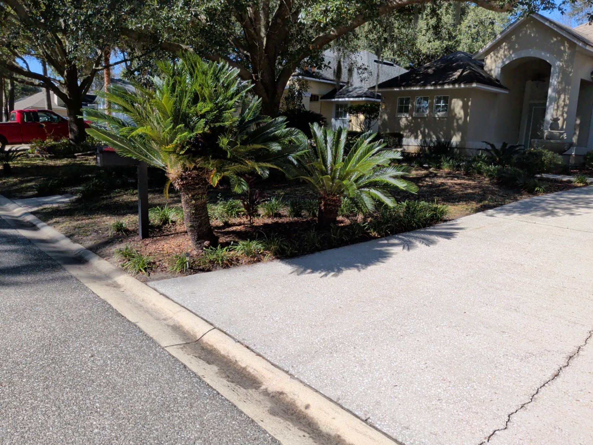 Palm trees in front of a house, beside a street.