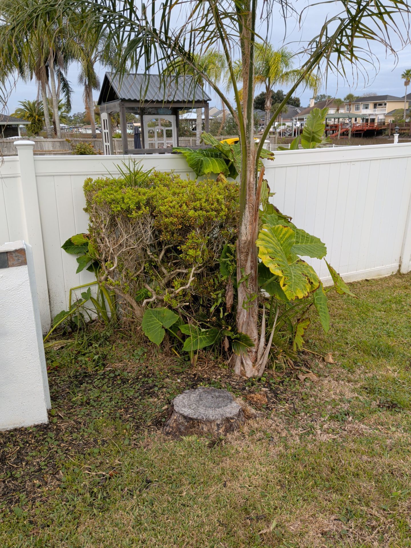 Tree stump surrounded by shrubs and foliage, near a white fence and a gazebo.
