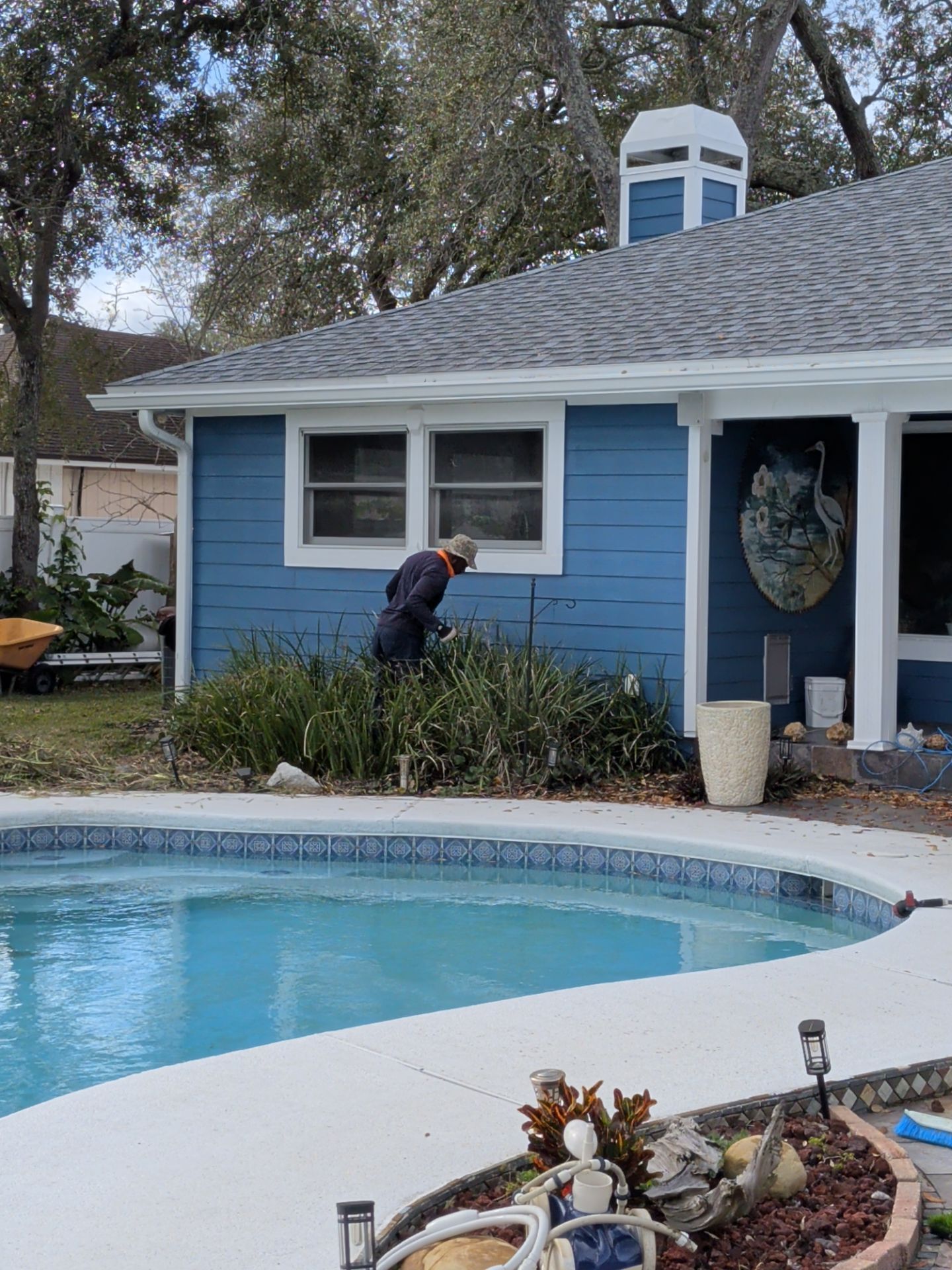 Person tending plants near a blue pool and house.