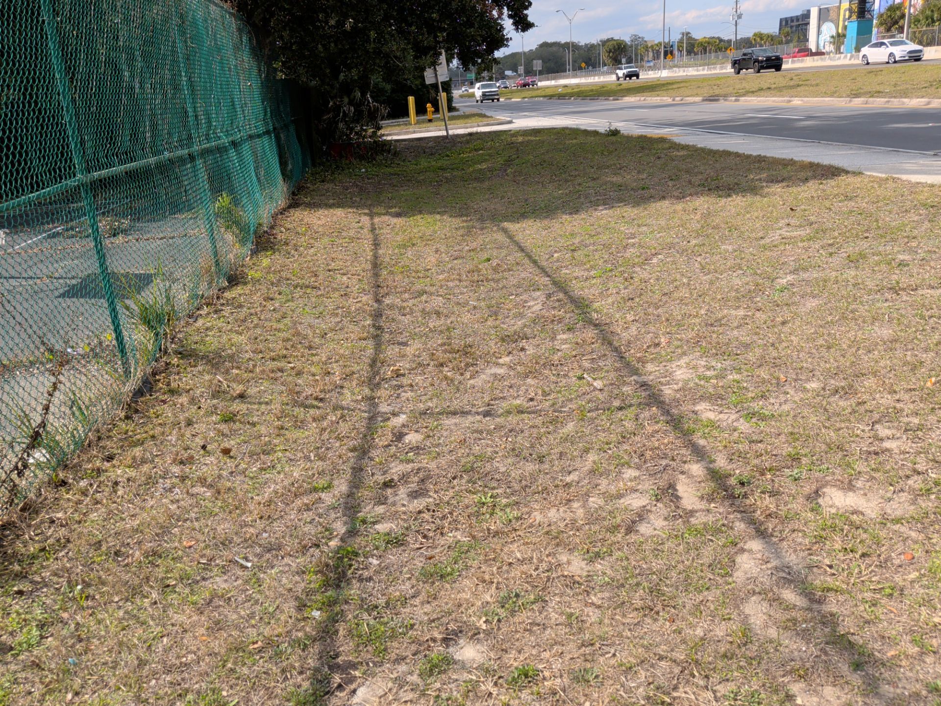 Grassy area next to a chain-link fence and road; two worn tire tracks.