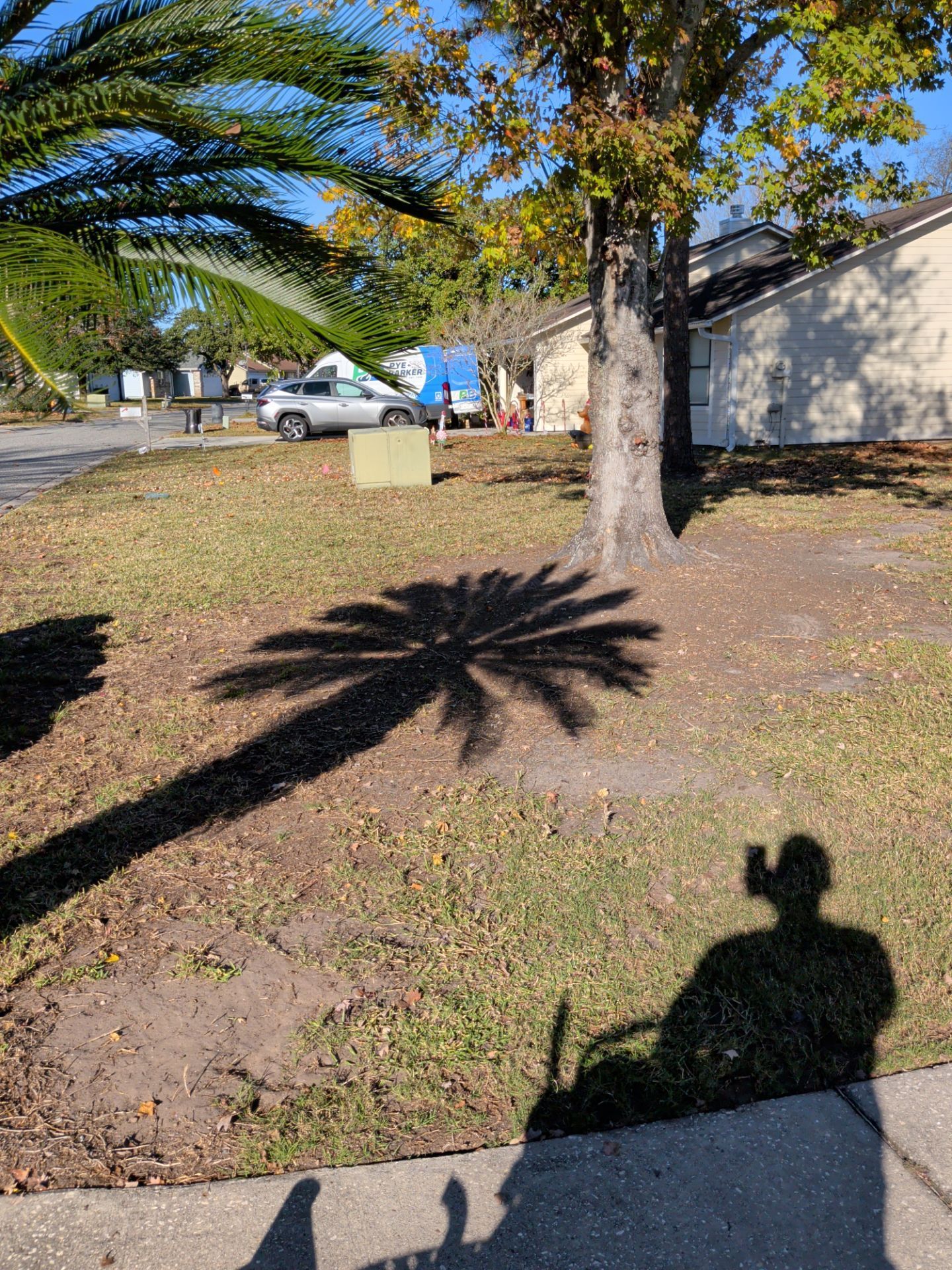 Shadow of a palm tree on grass with a person's shadow in the foreground. Houses and trees are in the background.