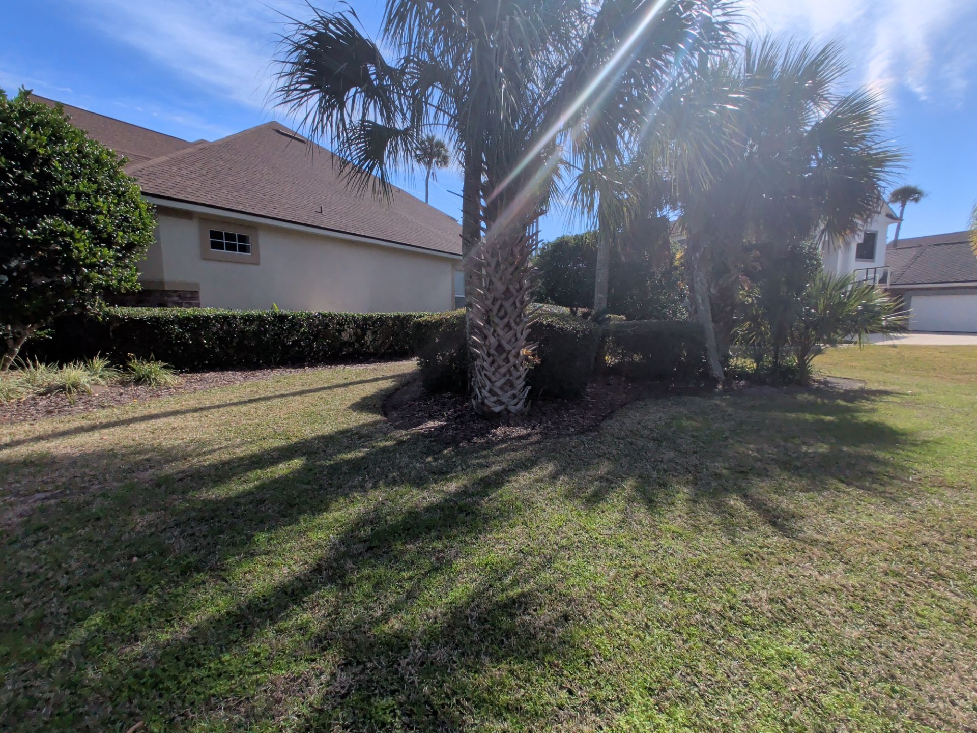 Lawn in front of a tan house, trees, and hedges on a sunny day.