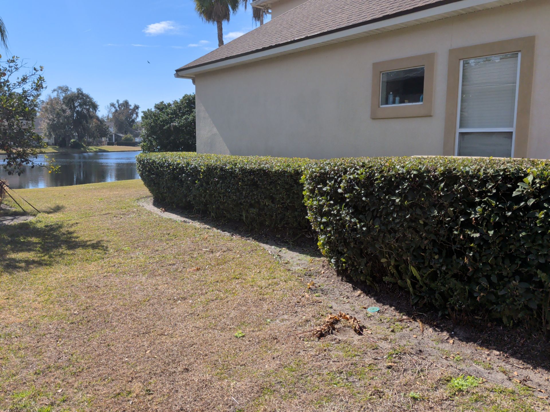 A trimmed green hedge borders a lawn next to a beige house, with a lake visible in the background.