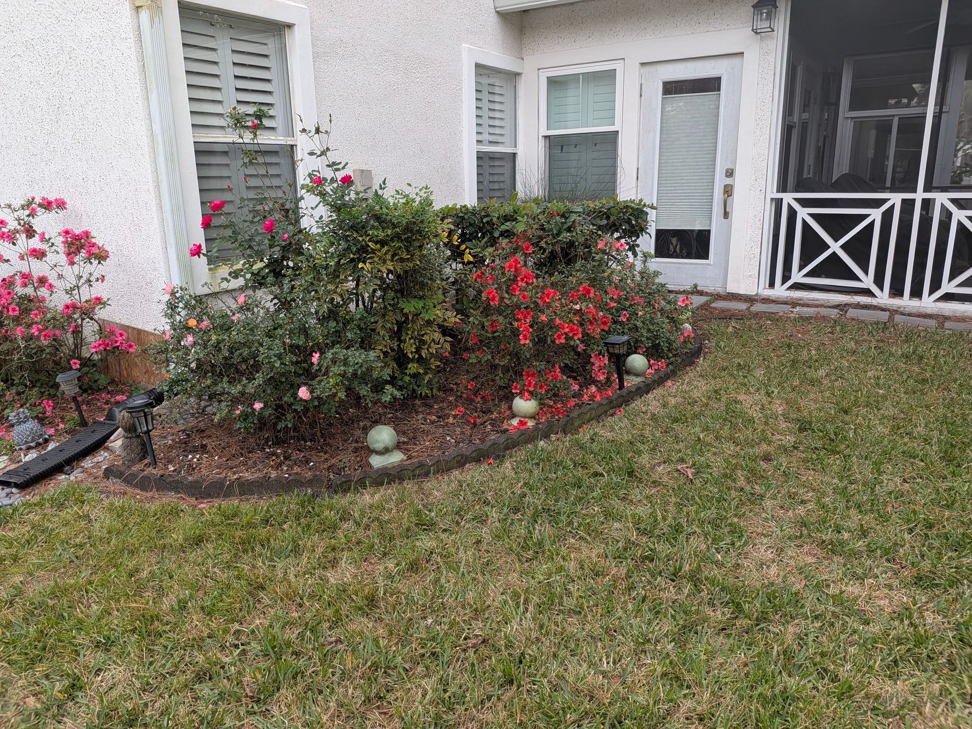 Garden bed with pink and red flowers in front of a white house with shutters.