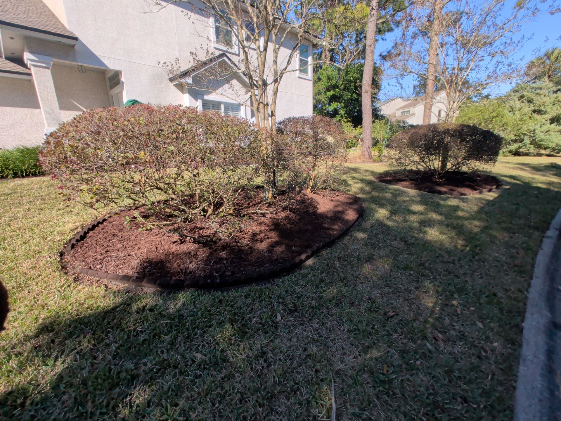 Brown mulch around bushes in a lawn, next to a white house on a sunny day.