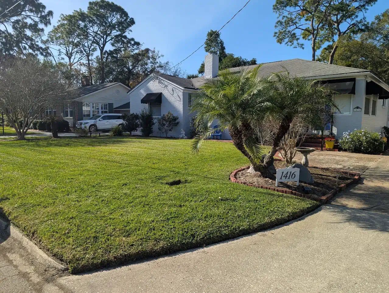 Suburban home with a green lawn and a small tree in front. Bright, sunny day.
