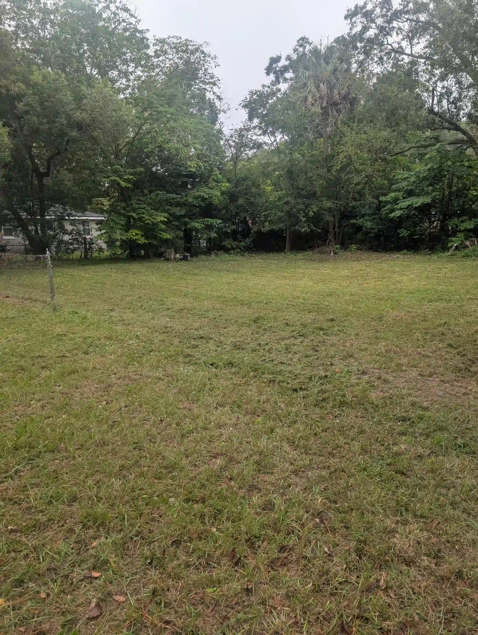 Grassy clearing surrounded by trees. Overcast sky.