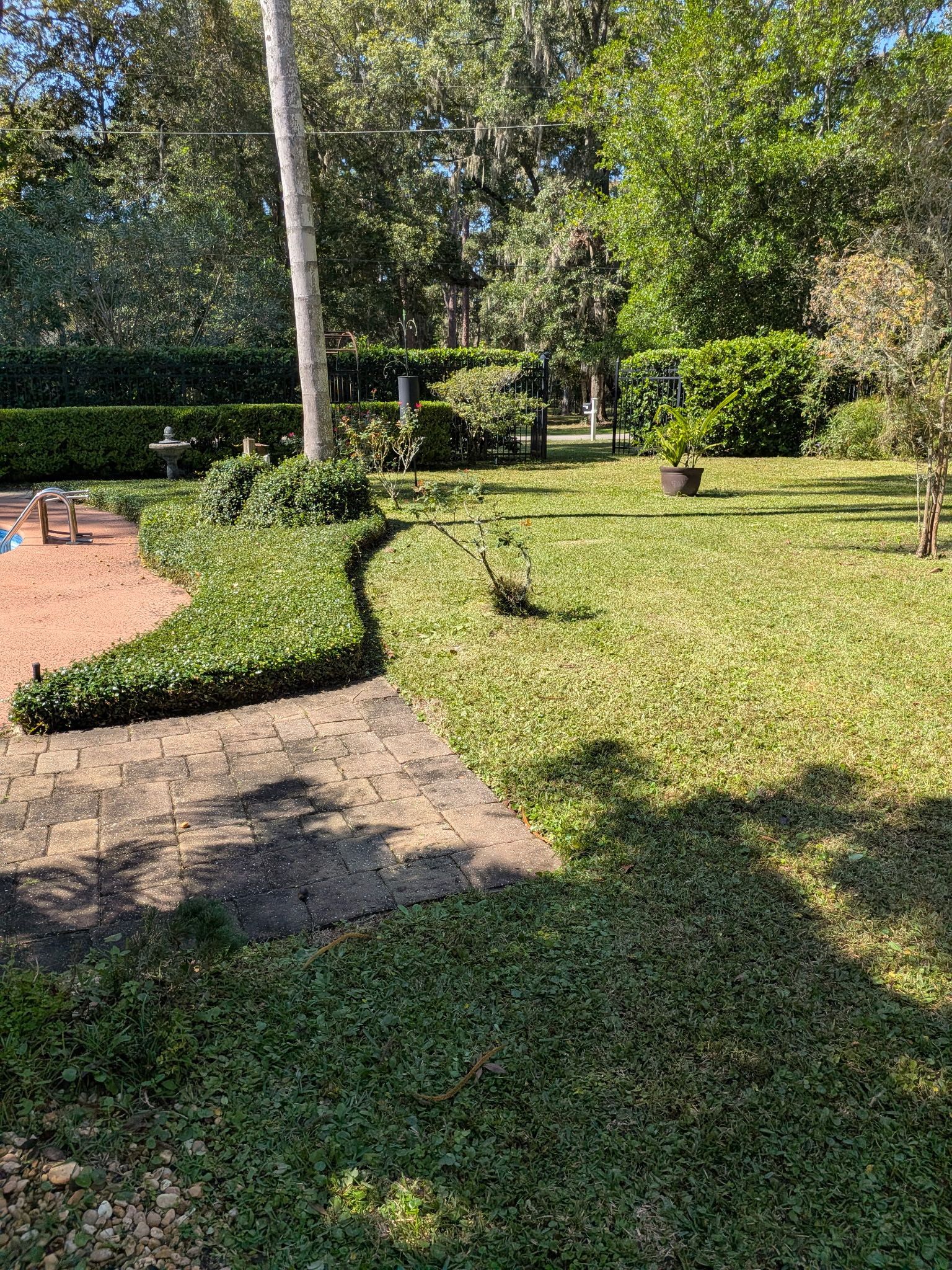 Green lawn bordered by brick path and hedge, with trees in the background. Sunny day.