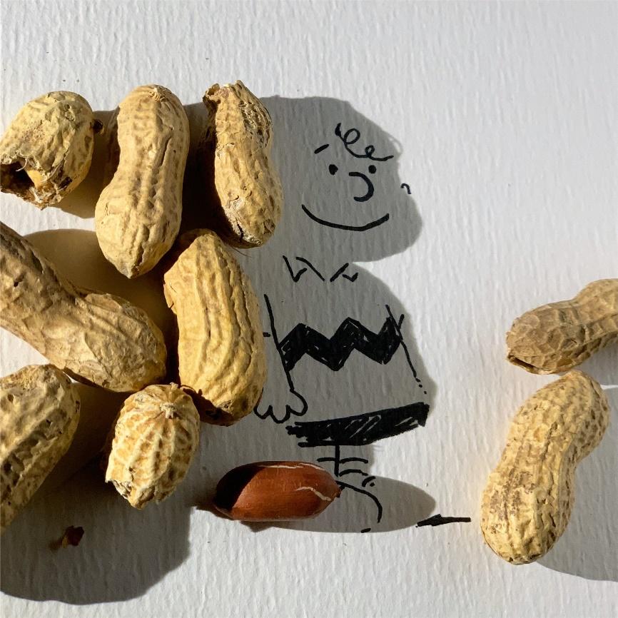 Peanuts by Vincent Bal