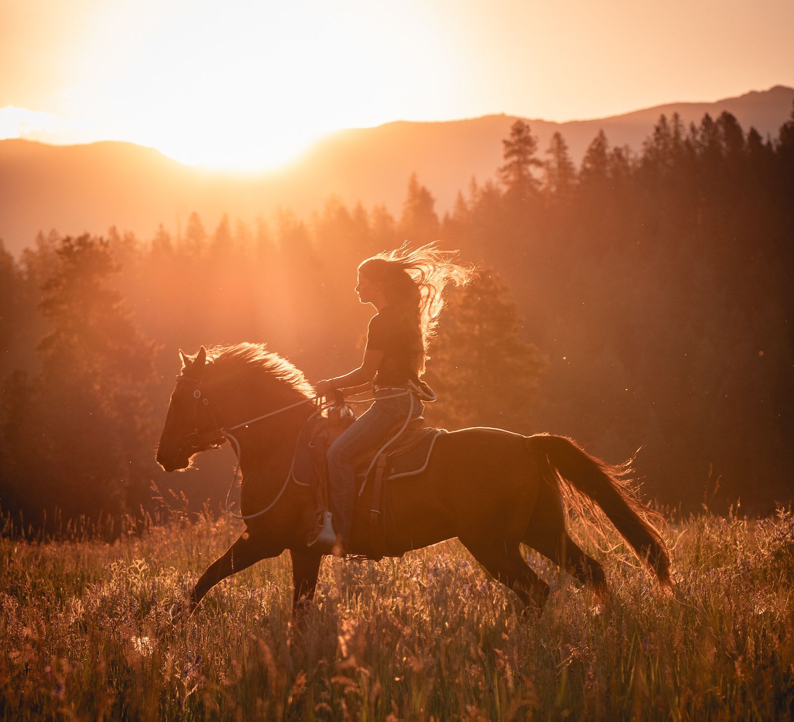 Silhouette of a person riding a horse through tall grass at sunset. Mountains and trees in the background.