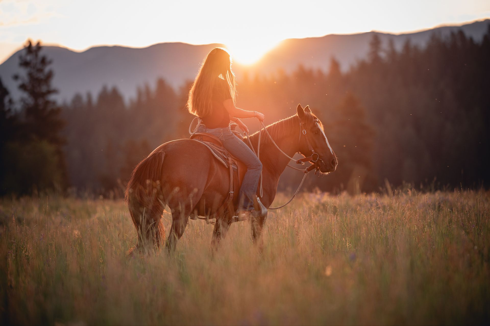Woman riding a horse in a grassy field at sunset, mountains in the background.