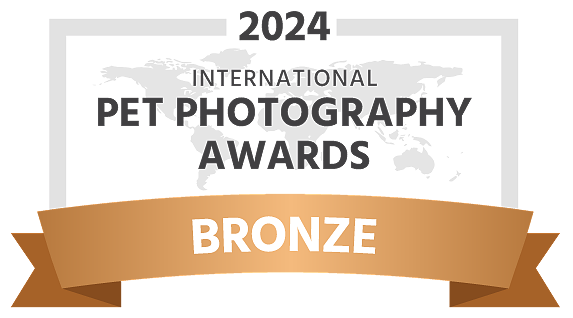 Bronze award badge from 2024 International Pet Photography Awards, with world map background.
