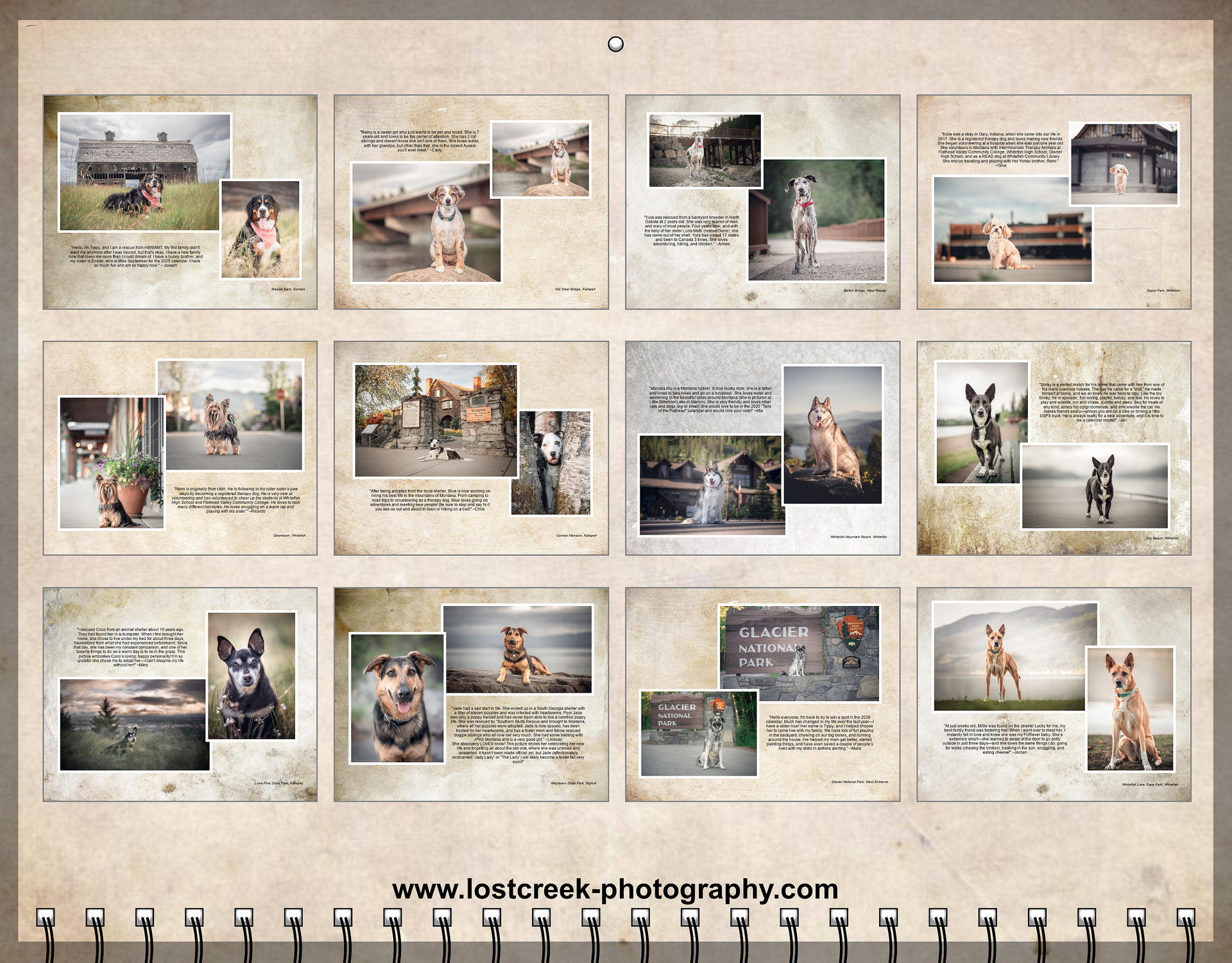 Dog calendar with scenic photos. Breeds posing in various outdoor locations. Brown, tan, and gray dogs.