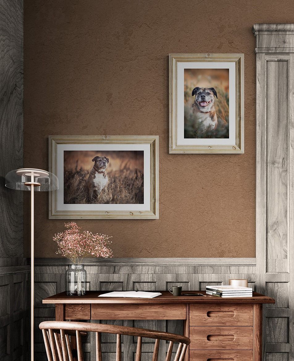 Two framed dog portraits above a wooden desk.